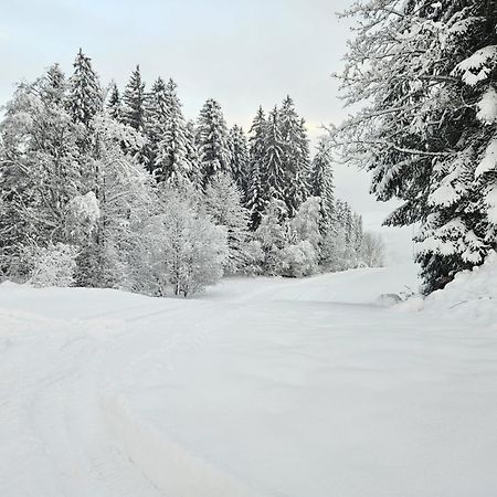 Alpen Studio Ellmau II Экстерьер фото