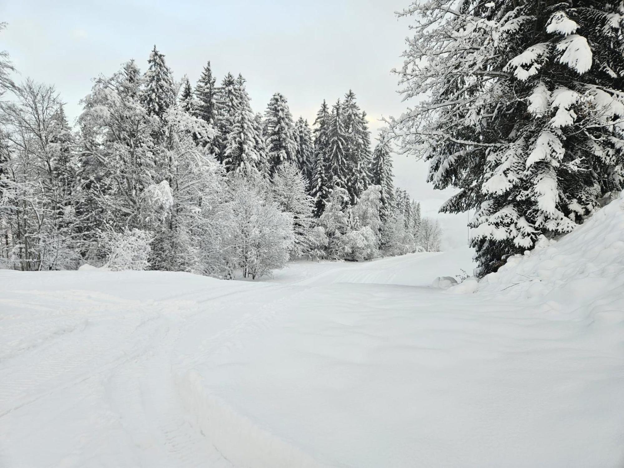 Alpen Studio Ellmau II Экстерьер фото