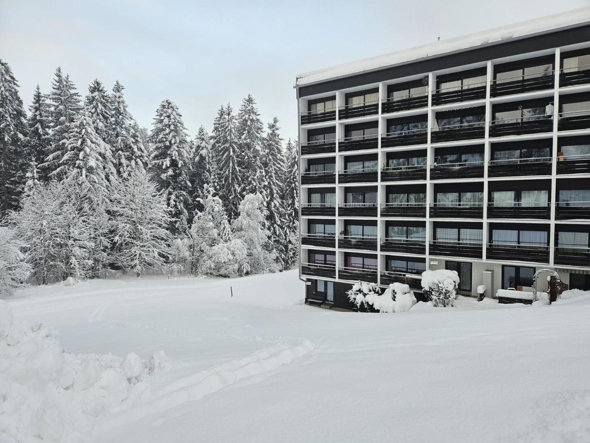 Alpen Studio Ellmau II Экстерьер фото